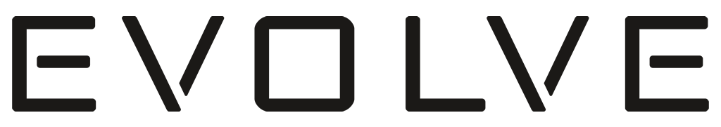 Northernsky Evolve Logo